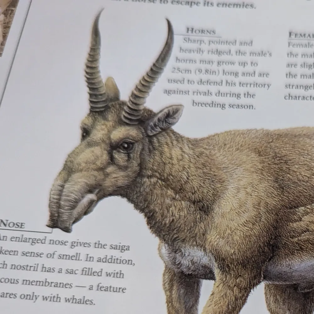 flunky.bsky.social's profile picture