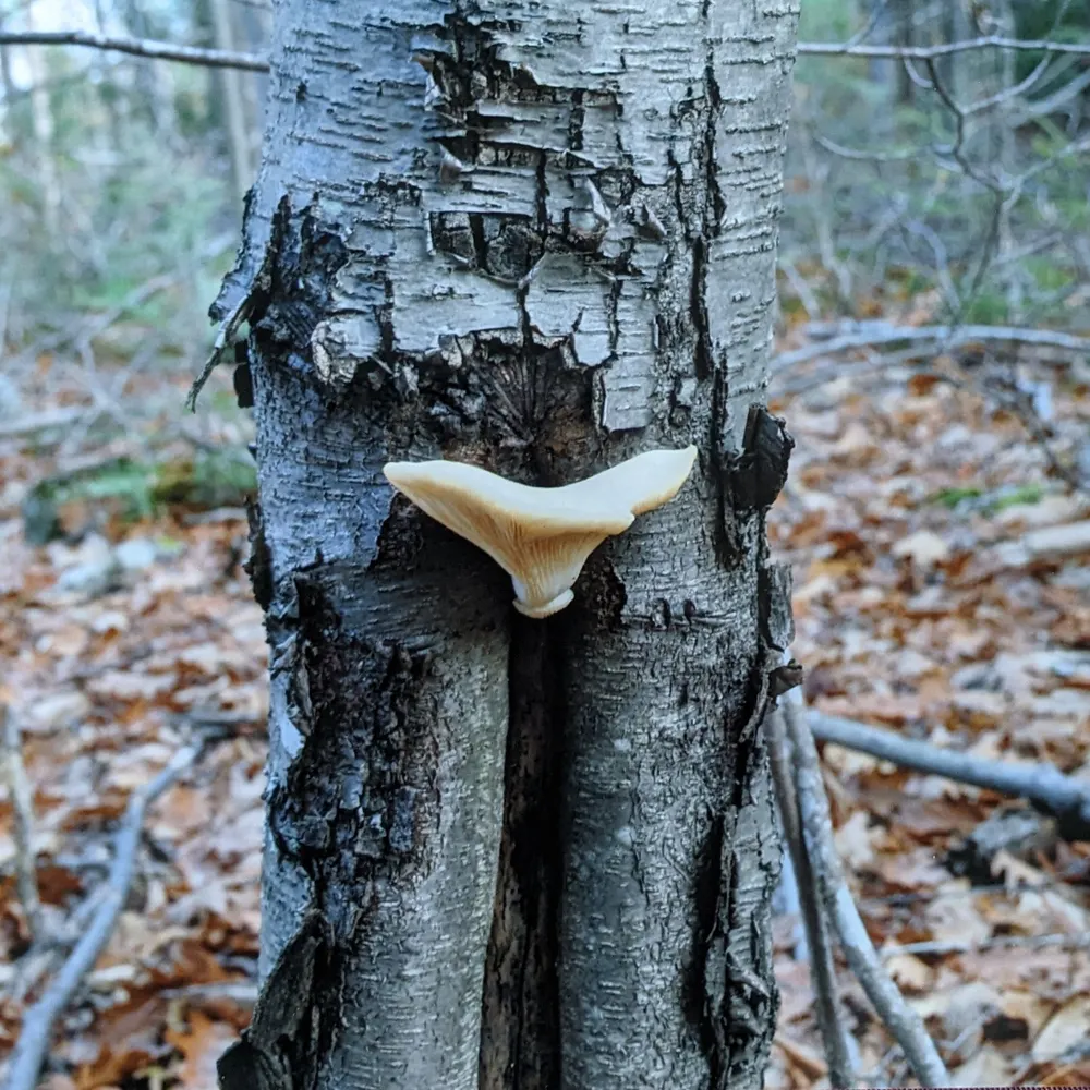 a-reynolds.bsky.social's profile picture