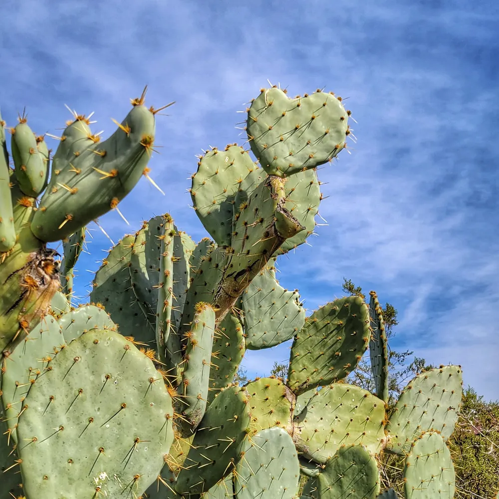 jarizona.bsky.social's profile picture