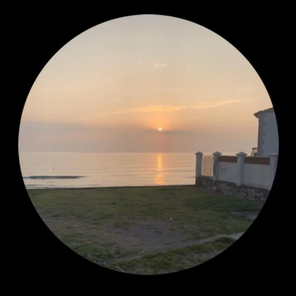 errepi.bsky.social's profile picture