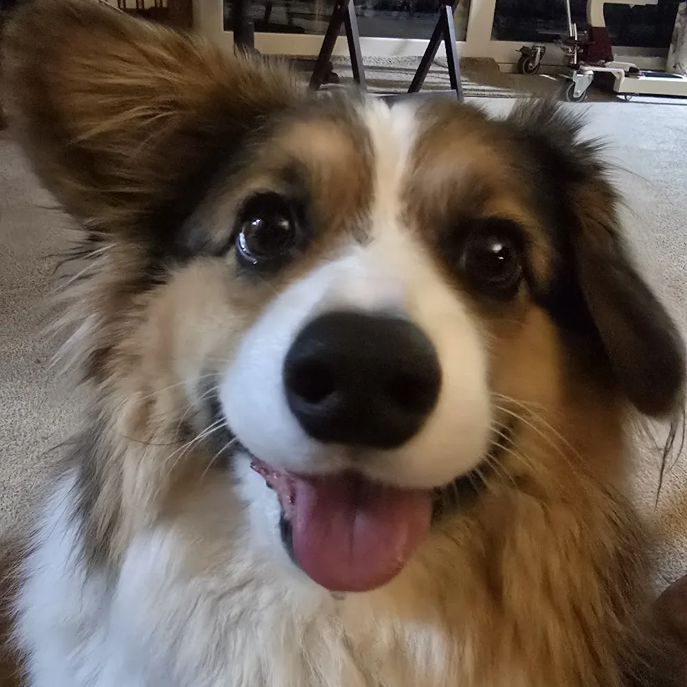 deidru.bsky.social's profile picture