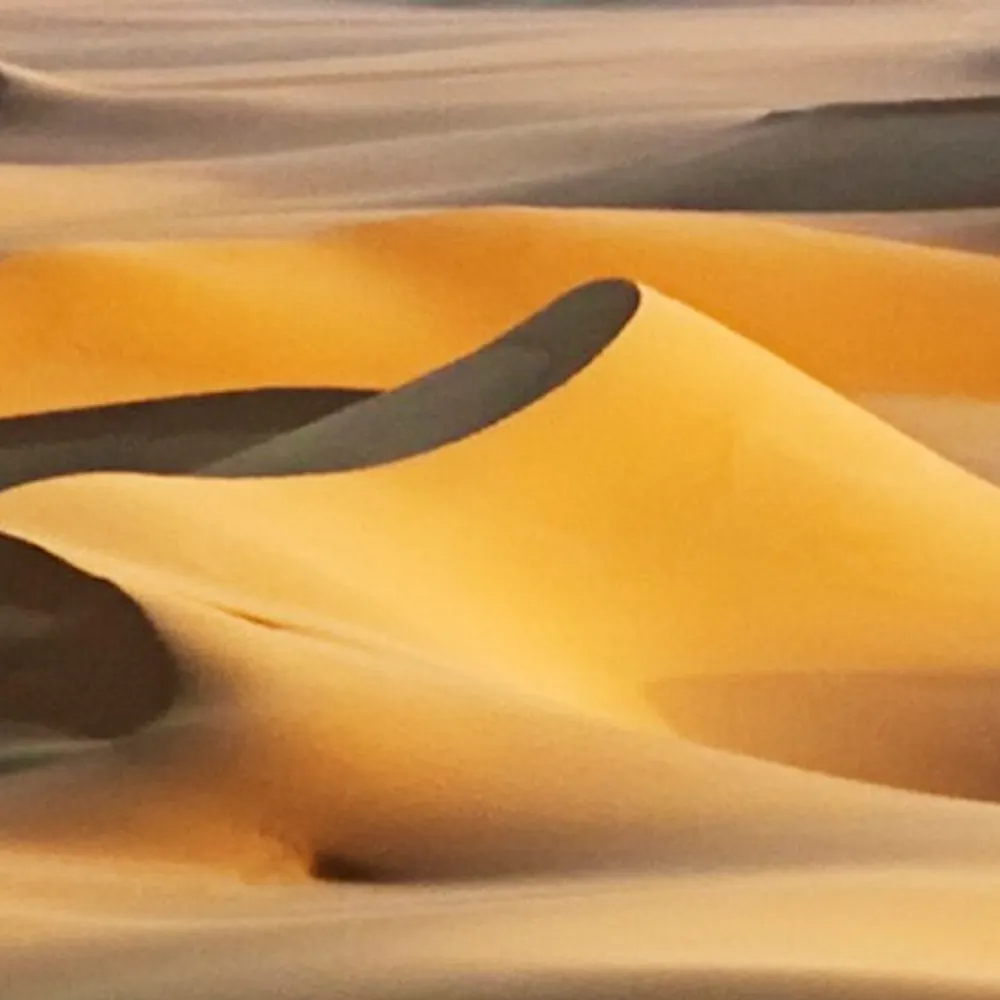 remotectrl.dev's profile picture