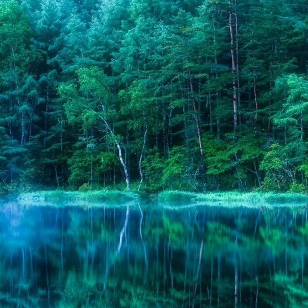 damselsteel.bsky.social's profile picture