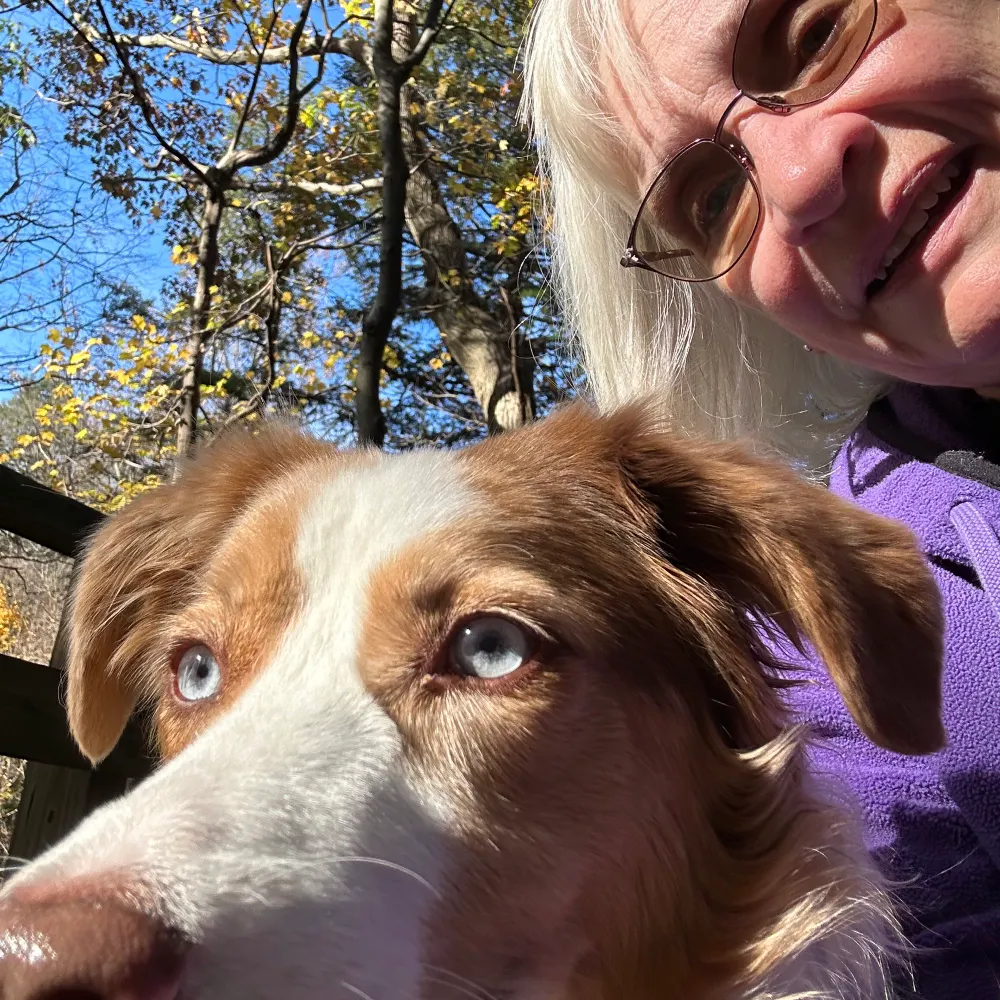 magicalmerlin20-0.bsky.social's profile picture