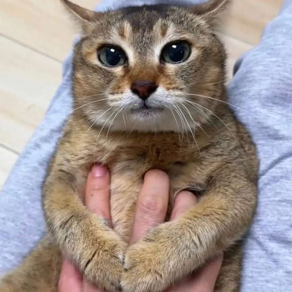 maxine-m.bsky.social's profile picture