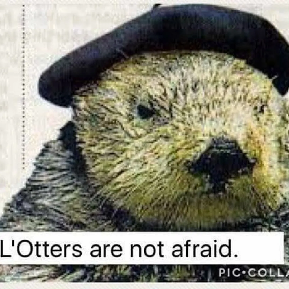 auldtwa.bsky.social's profile picture