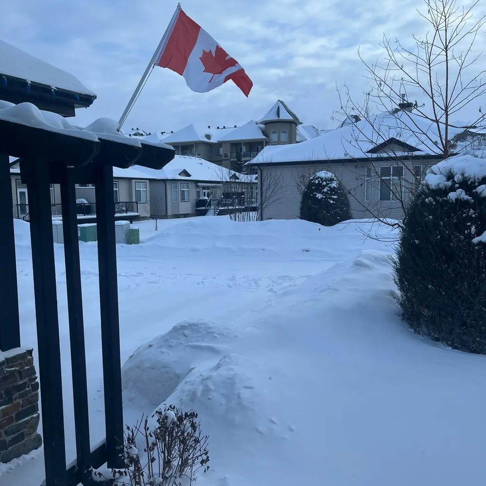 ema2ca.bsky.social's profile picture