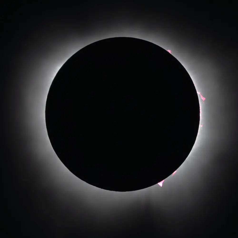 tymsink.bsky.social's profile picture