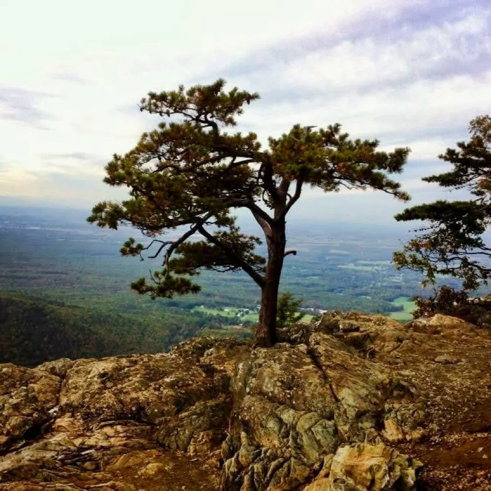 pg4gcm.bsky.social's profile picture