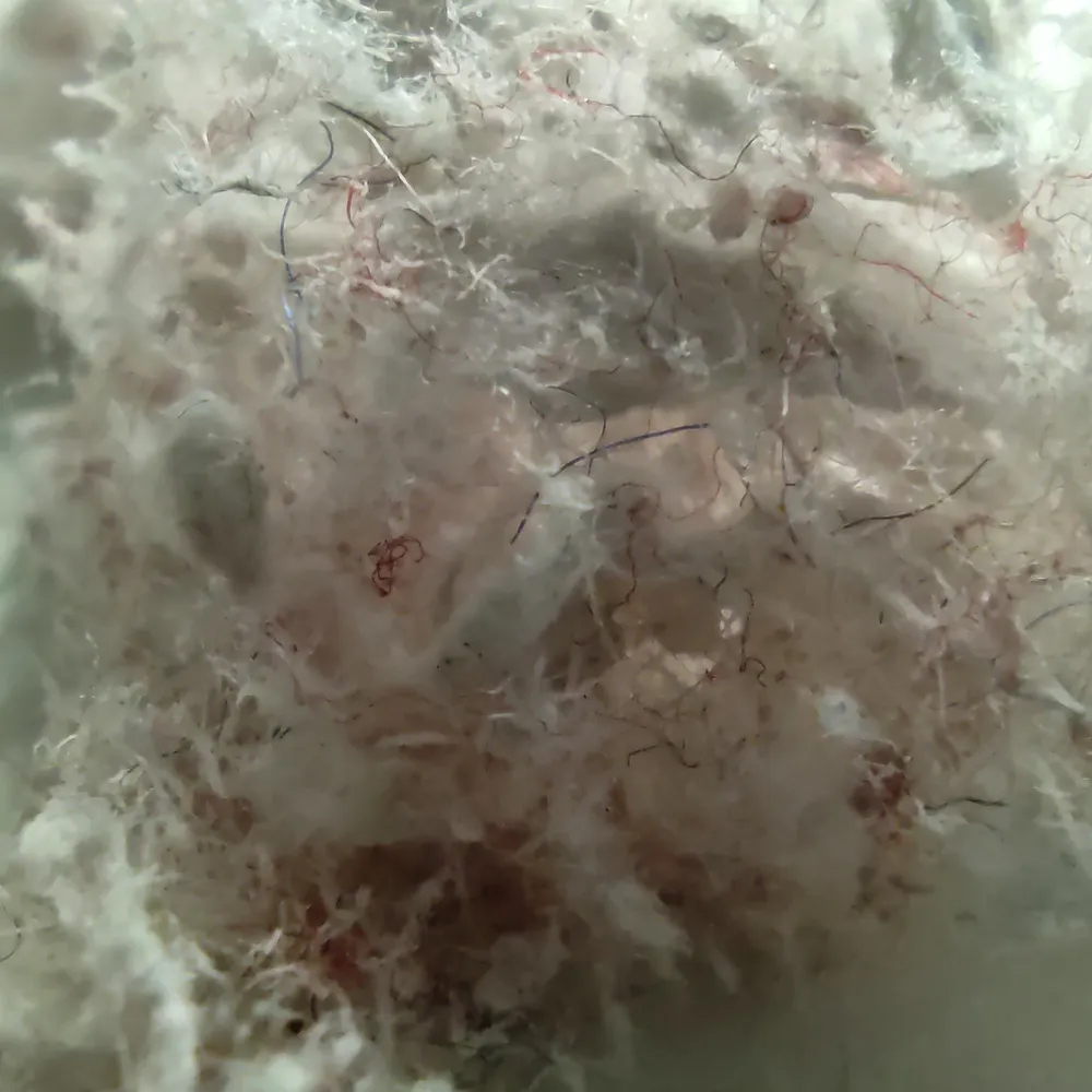 orsa-marga.bsky.social's profile picture