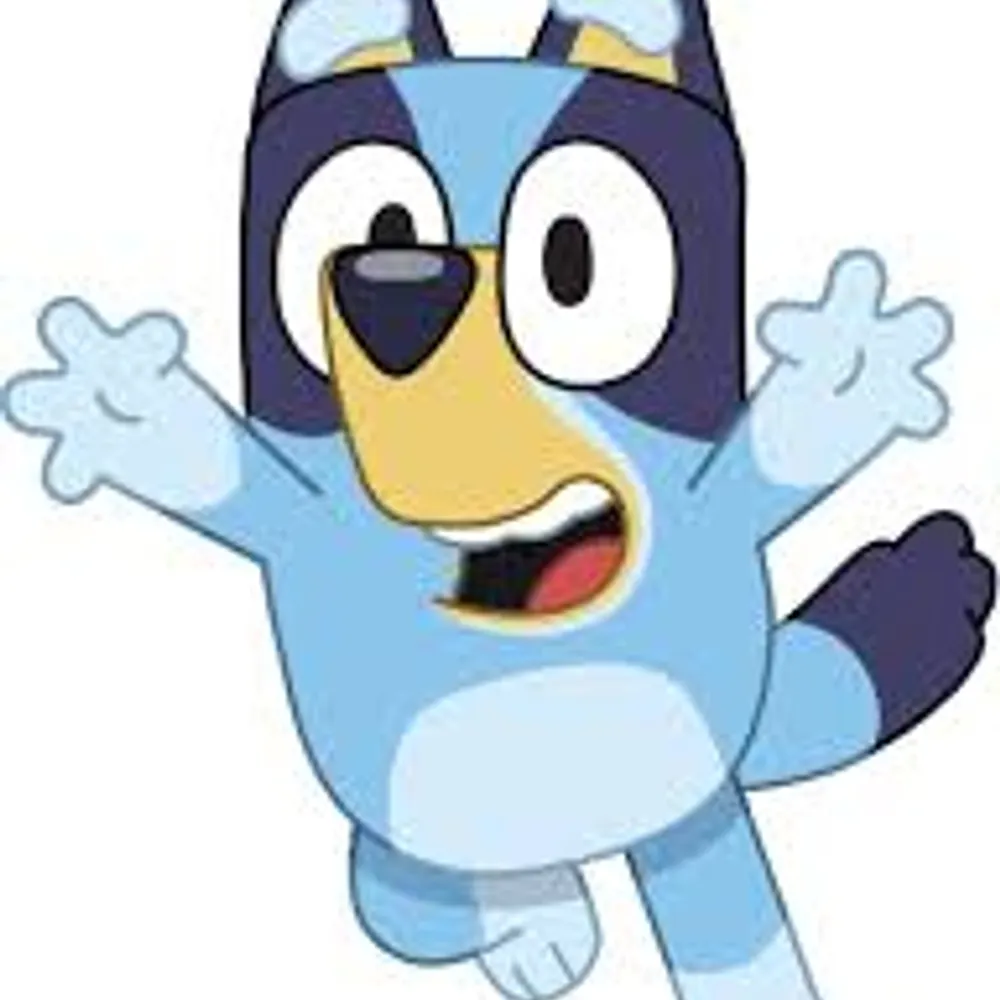 davidkleeman.bsky.social's profile picture