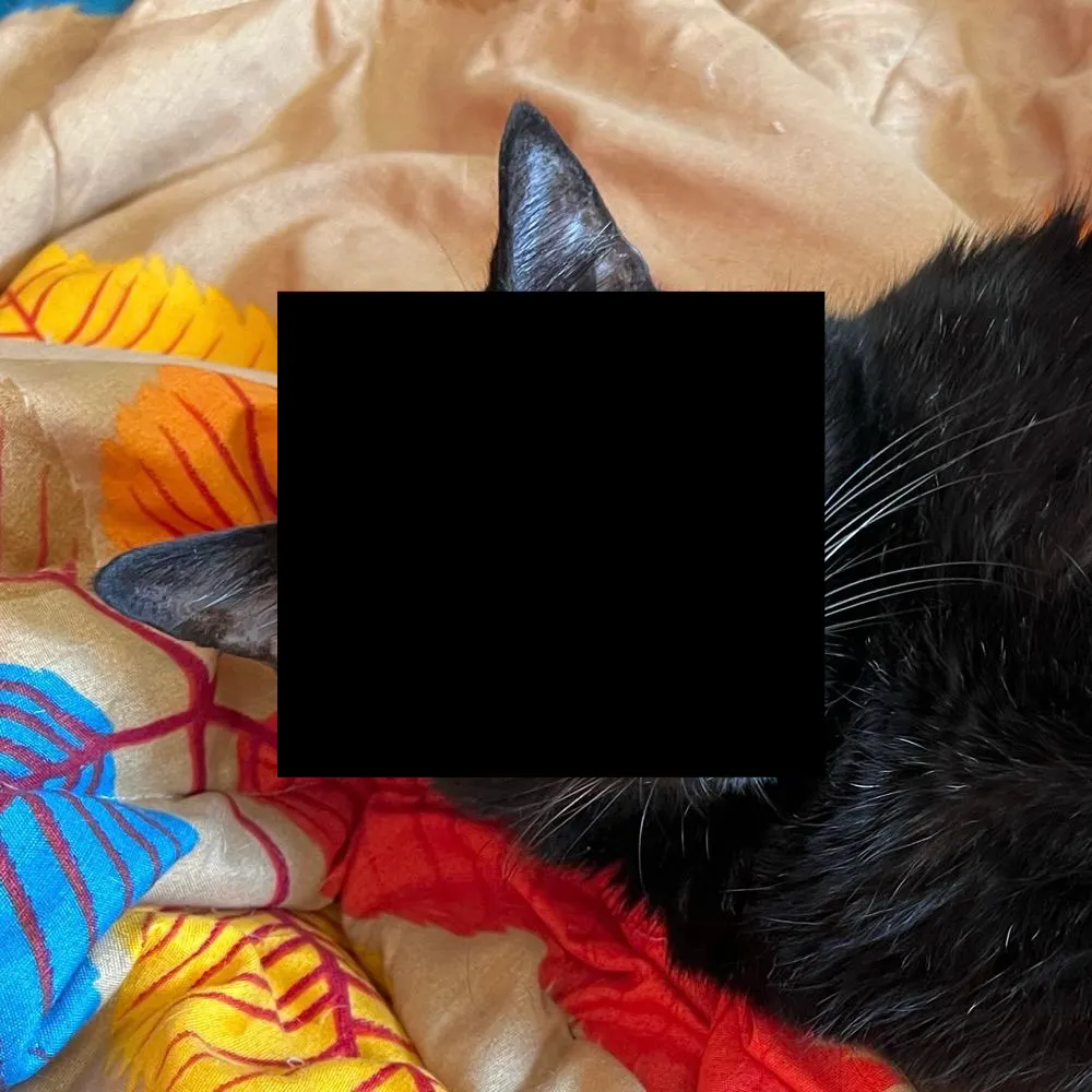 benjkrause.bsky.social's profile picture