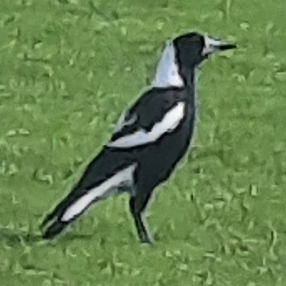 magpiesaid.bsky.social's profile picture