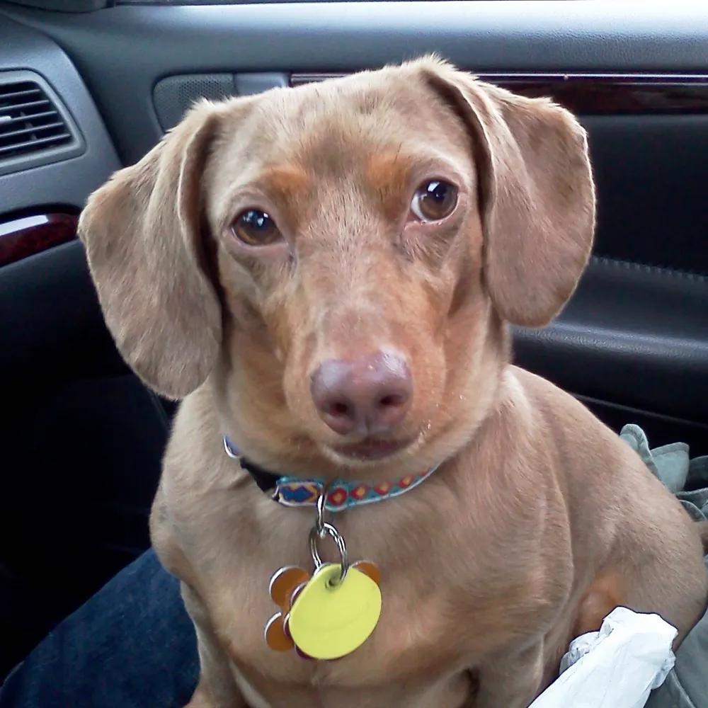 slewsky.bsky.social's profile picture