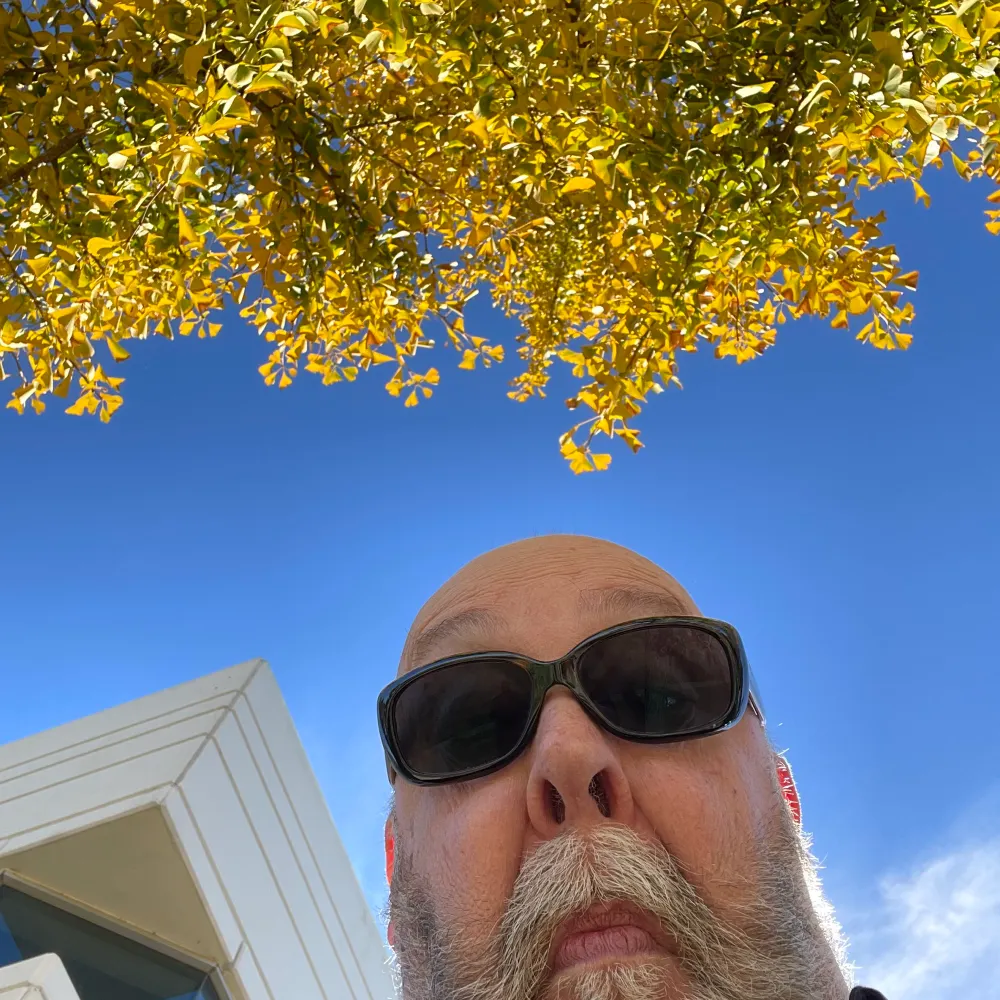 timbrownie.bsky.social's profile picture