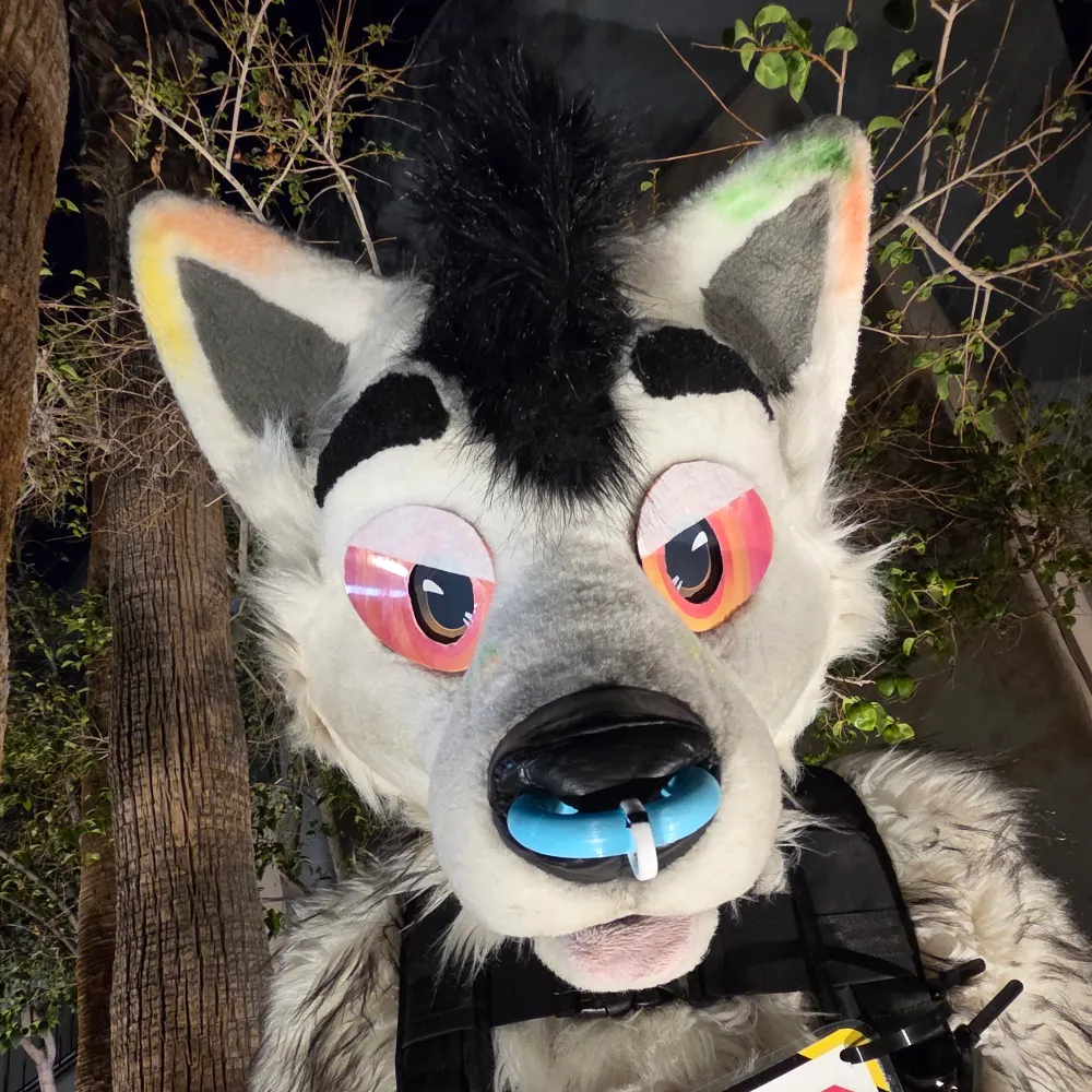 hroar.dog's profile picture