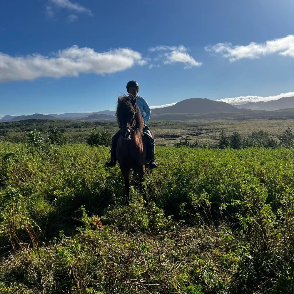 cecerydr.bsky.social's profile picture