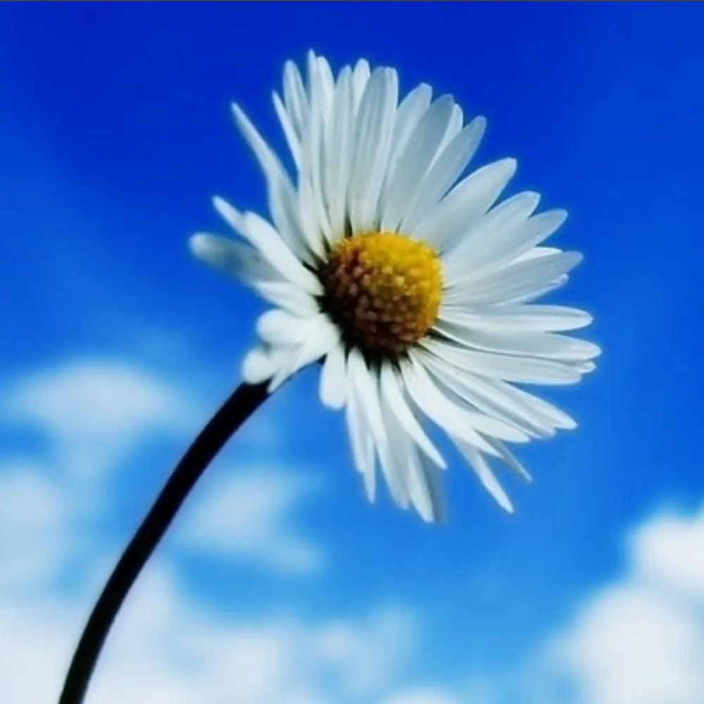 tcinindy.bsky.social's profile picture