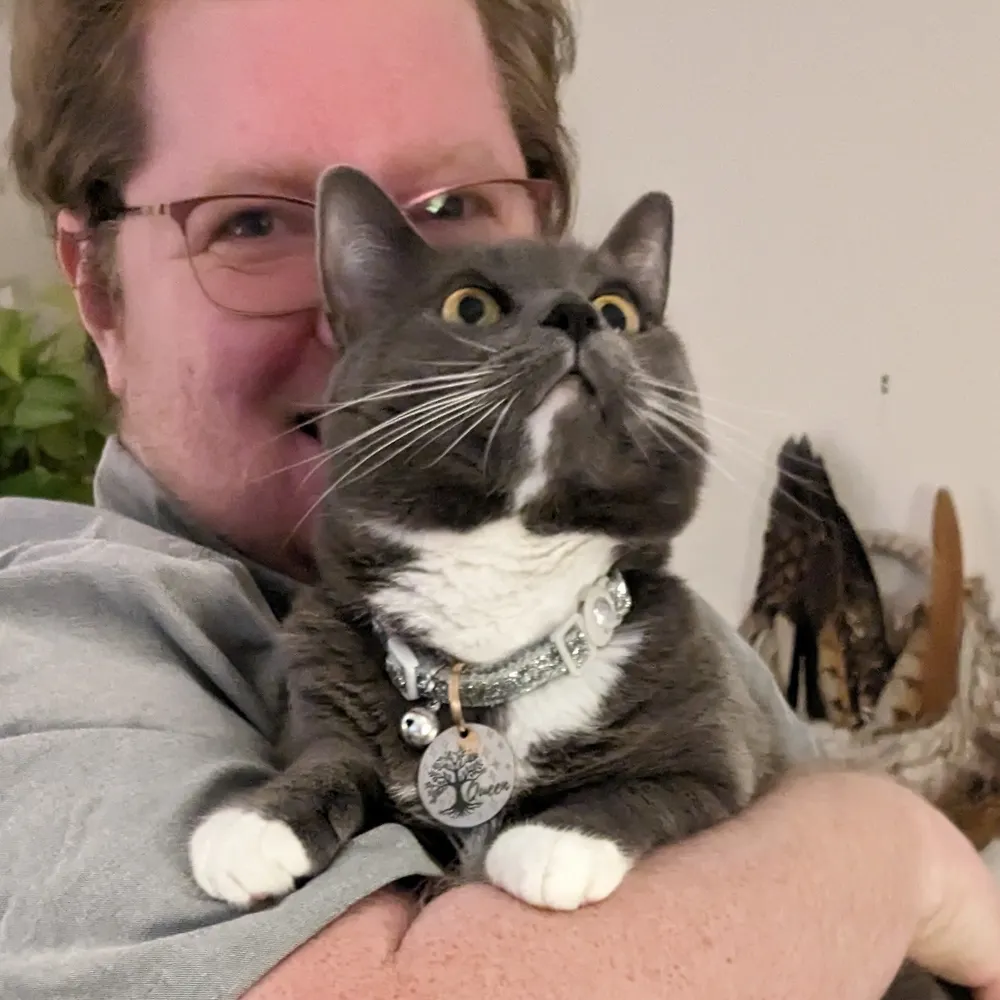 dazerla.bsky.social's profile picture