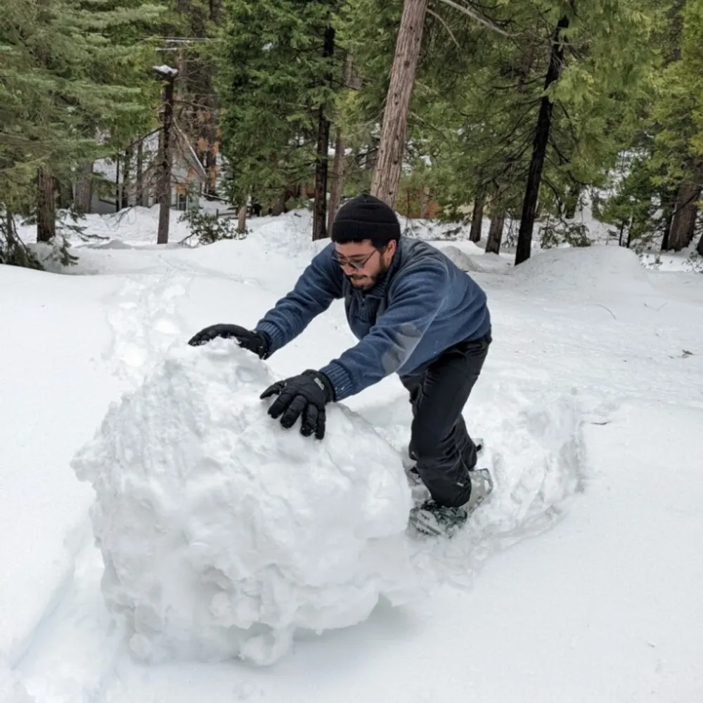 dtcitron.bsky.social's profile picture