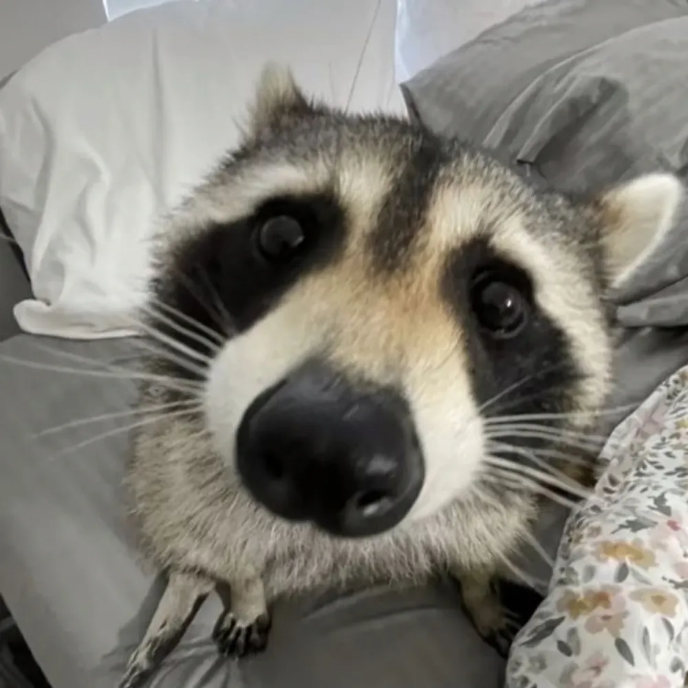 fatbatass.bsky.social's profile picture