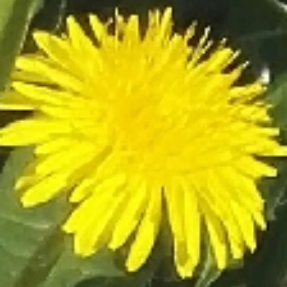 sandnesharry.bsky.social's profile picture