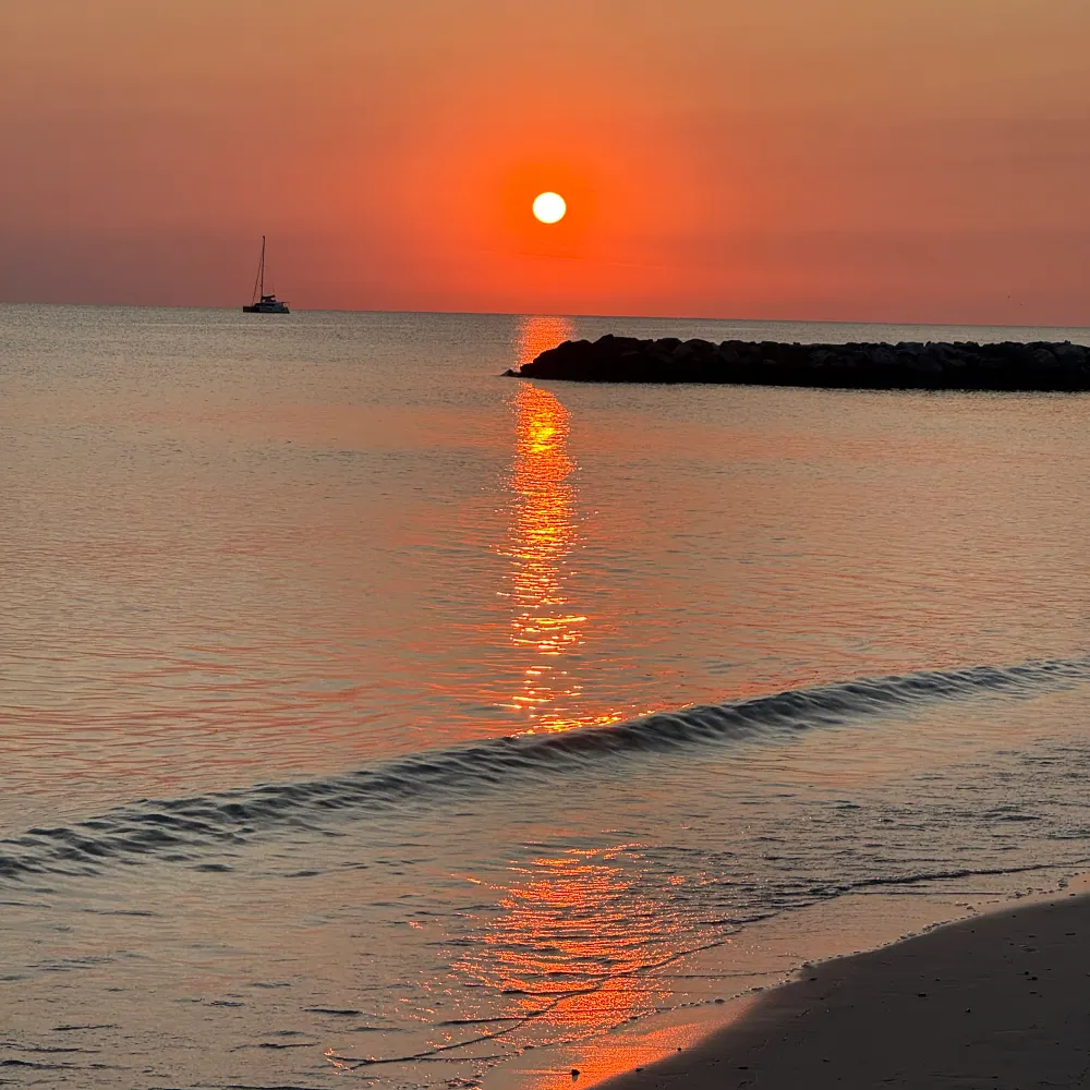 daranglenn.bsky.social's profile picture