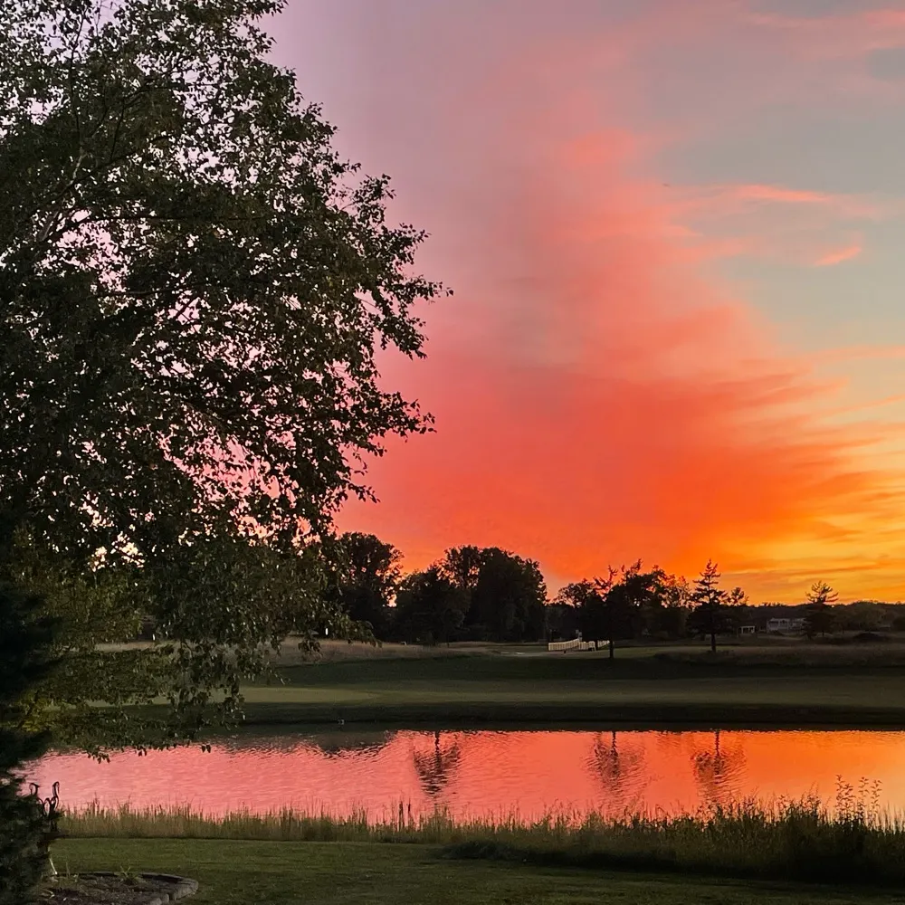 eroom12.bsky.social's profile picture