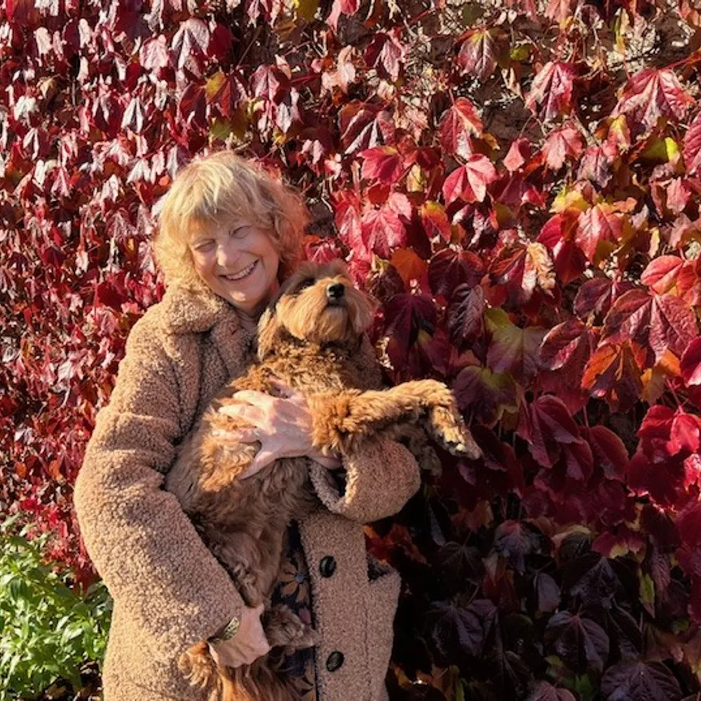 hopefulinthepeaks.bsky.social's profile picture