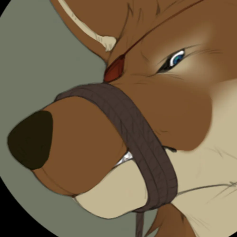 grimmtidingscoyote.bsky.social's profile picture