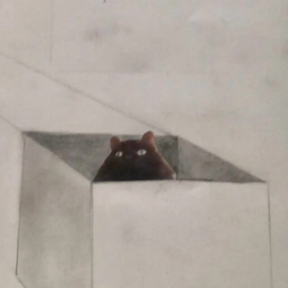 vihuela.bsky.social's profile picture