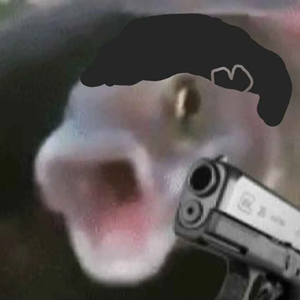 seethebass69.bsky.social's profile picture