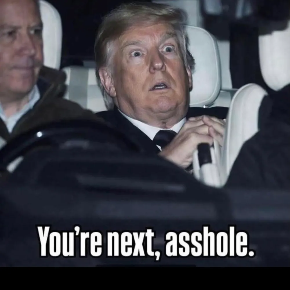 lsf60.bsky.social's profile picture