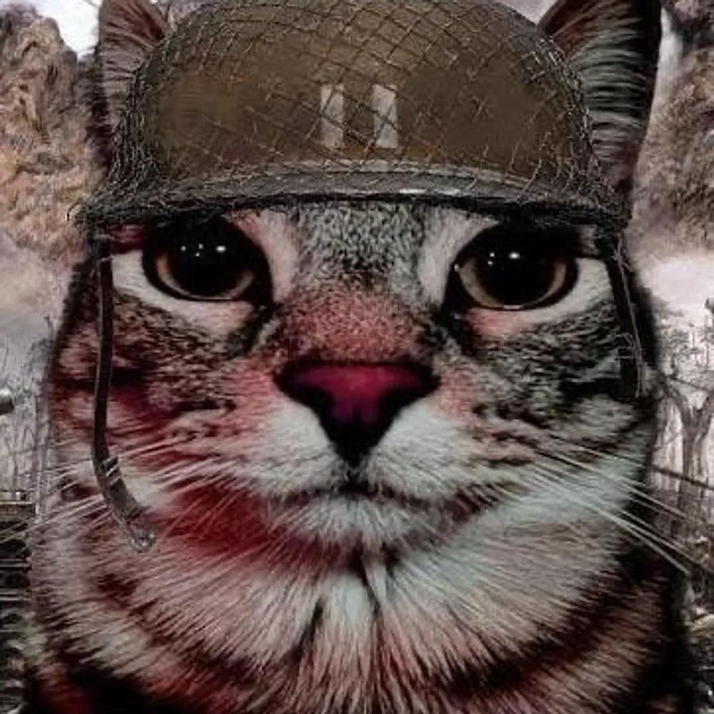 abyssalexalt.bsky.social's profile picture