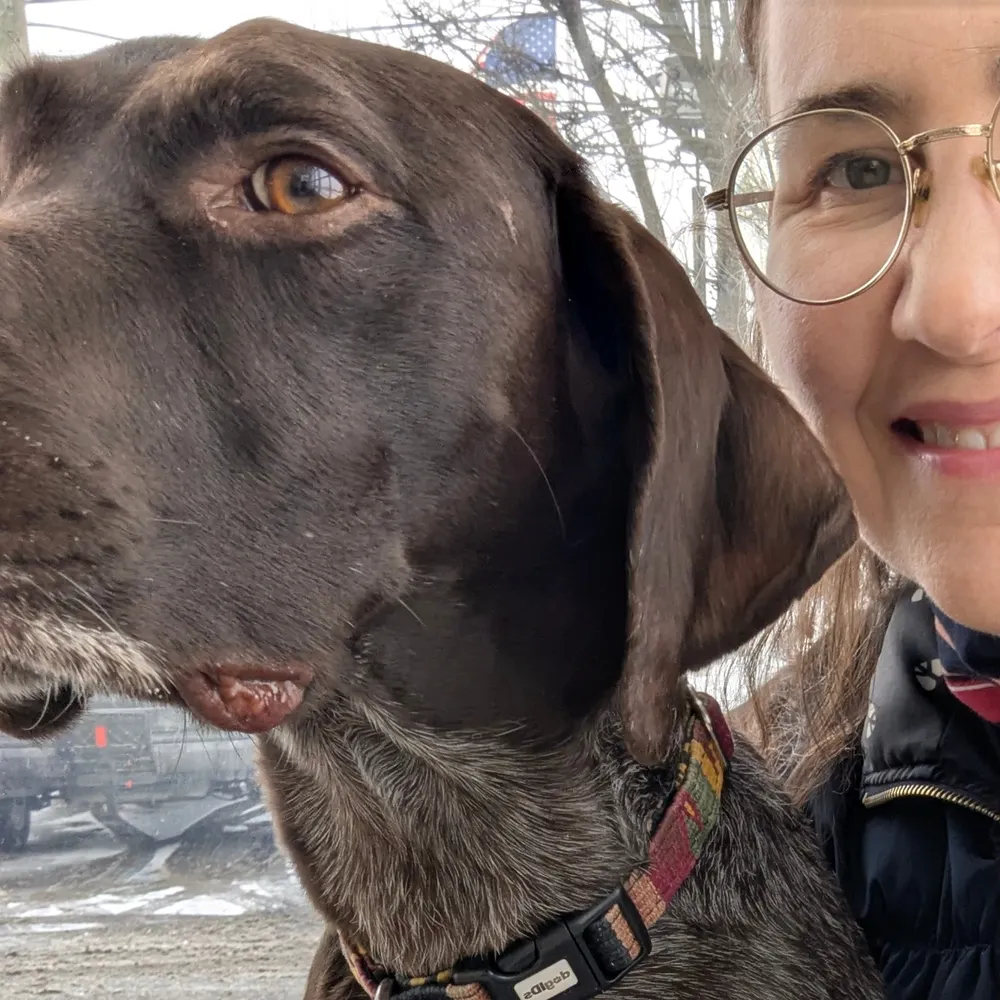 spicyzebra.bsky.social's profile picture