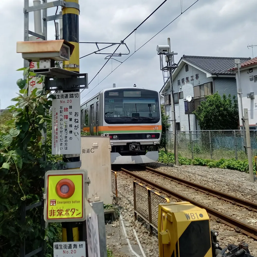 jpgottlieb.bsky.social's profile picture