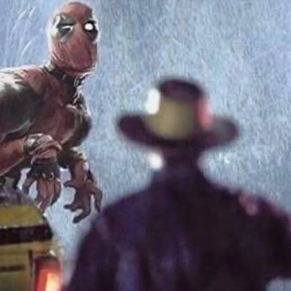 baums31.bsky.social's profile picture