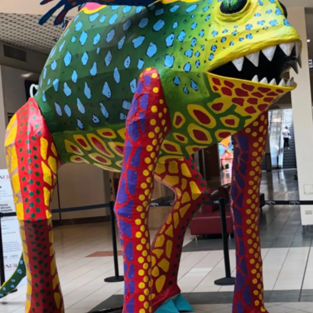 gobluefordemocracy.bsky.social's profile picture