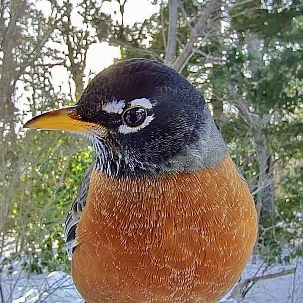 oldandcranky.bsky.social's profile picture