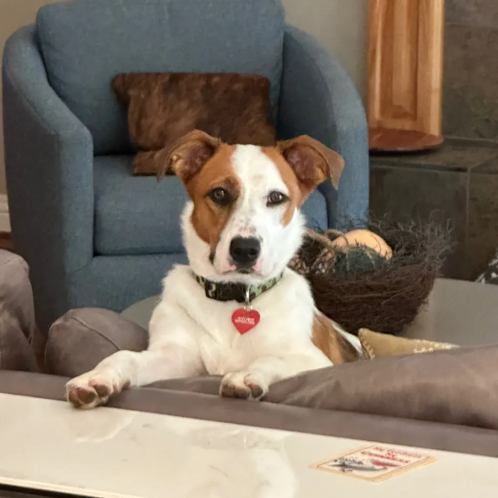 hkfinan.bsky.social's profile picture