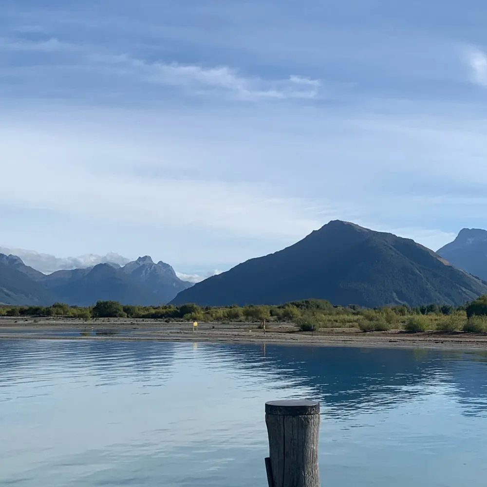 kiwisnowy.bsky.social's profile picture