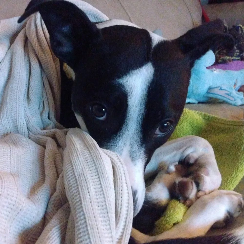 msbak.bsky.social's profile picture