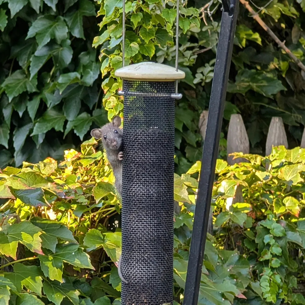 benrad.bsky.social's profile picture