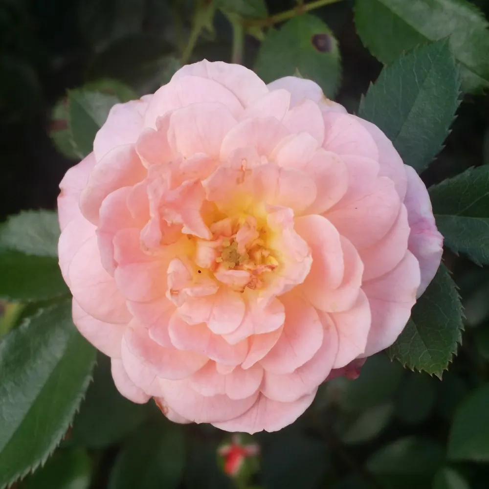 mcakotp.bsky.social's profile picture