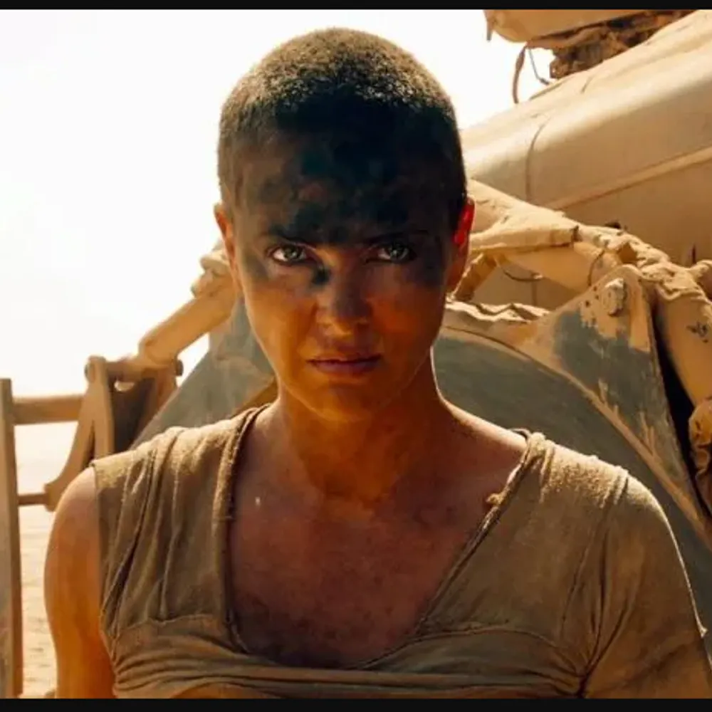 dortress.bsky.social's profile picture