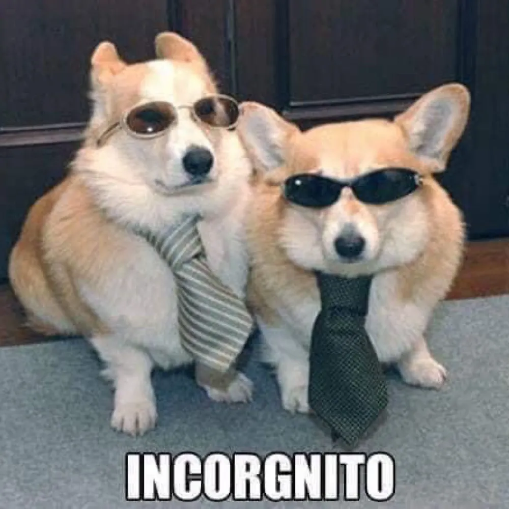 alfredlund.bsky.social's profile picture