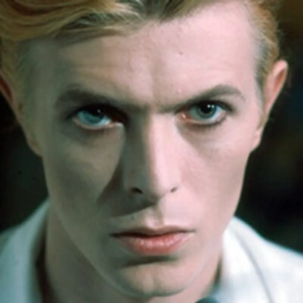 sample-text.bsky.social's profile picture