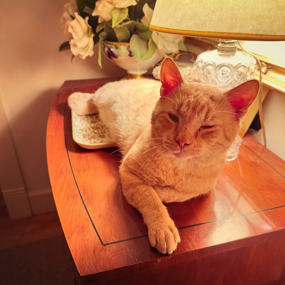 tracycouch.bsky.social's profile picture