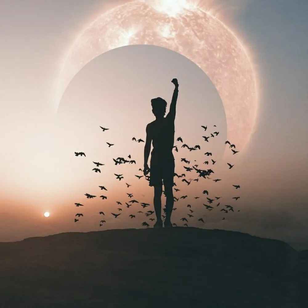 tmat62.bsky.social's profile picture