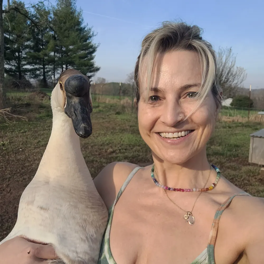 earthautumndawn.bsky.social's profile picture